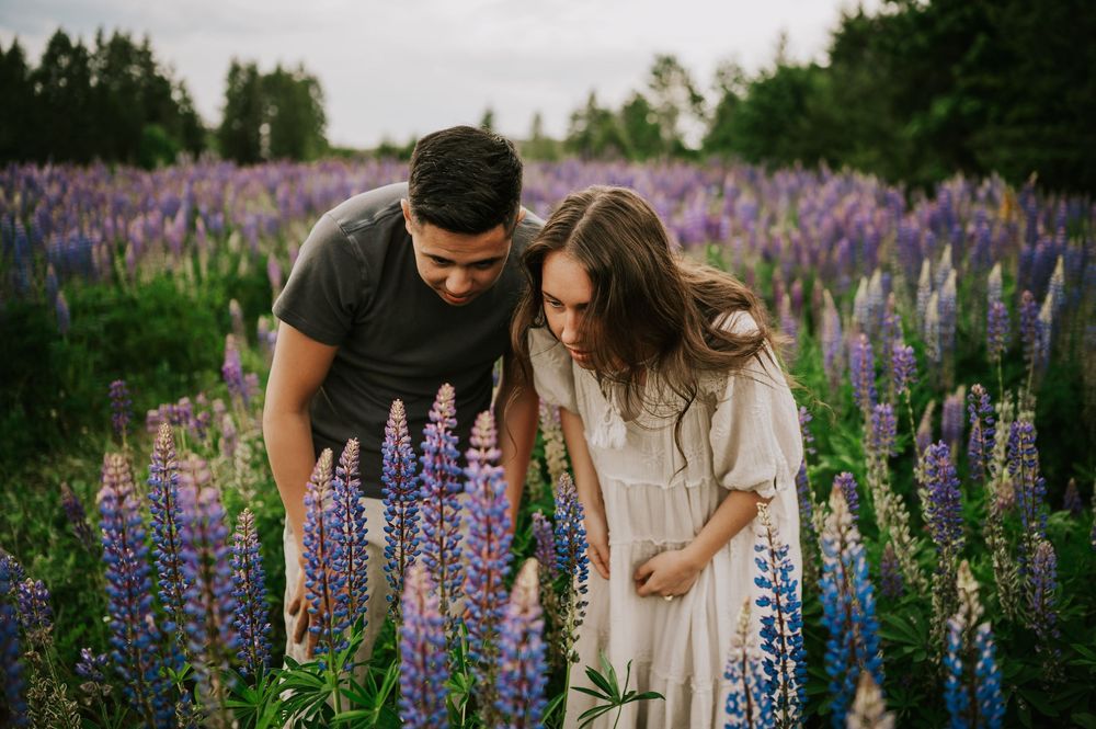 Fun and romantic portrait of couple looking at flowers in lupine wildflower field Vancouver Island adventure Photographer