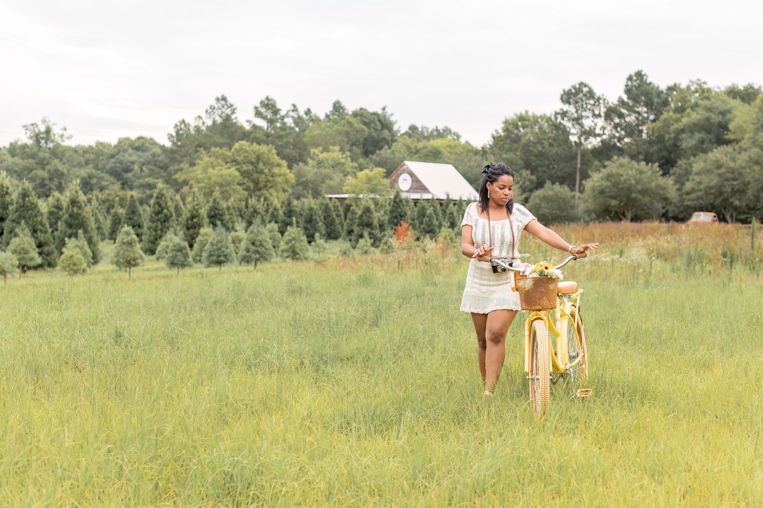 Girl in field at Cedar Ridge Tree Farm with Christmas trees and yellow bike.