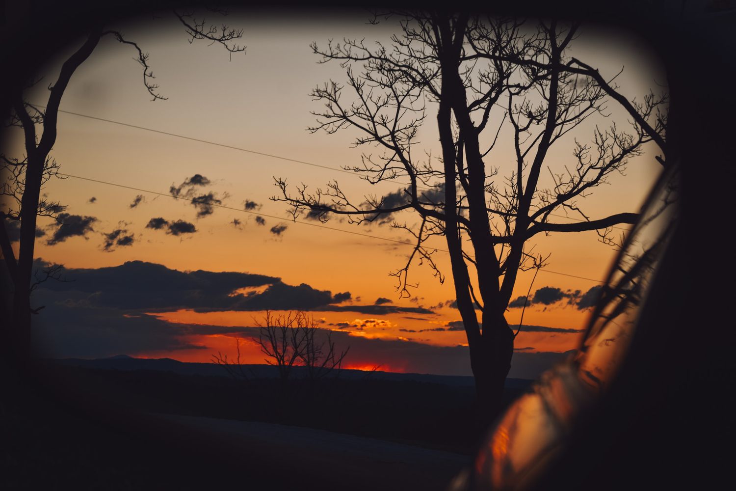 Silhouette of bare tree branches against vibrant orange sunset sky.