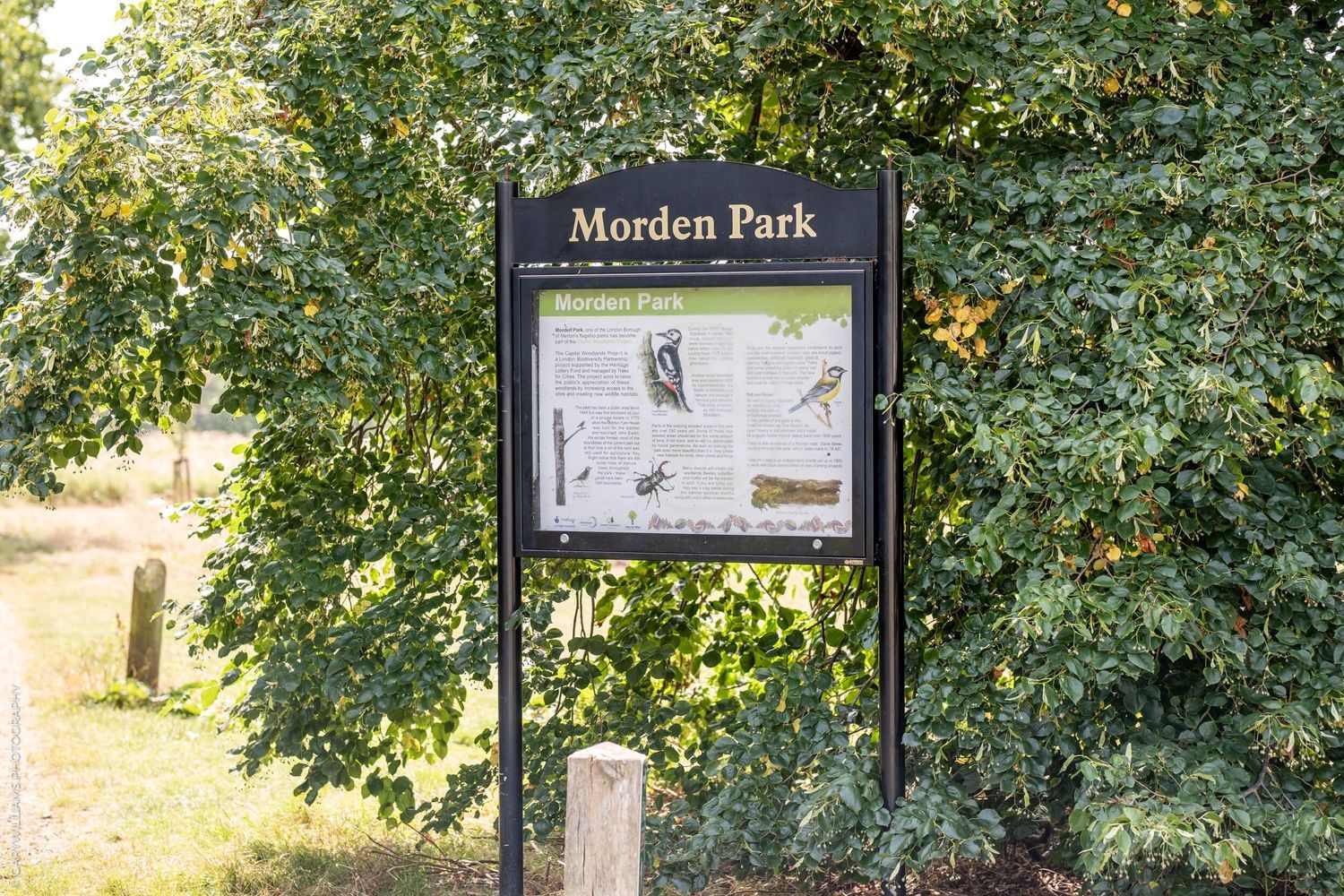 Park information sign board mounted on posts surrounded by green foliage at Morden Park entrance.