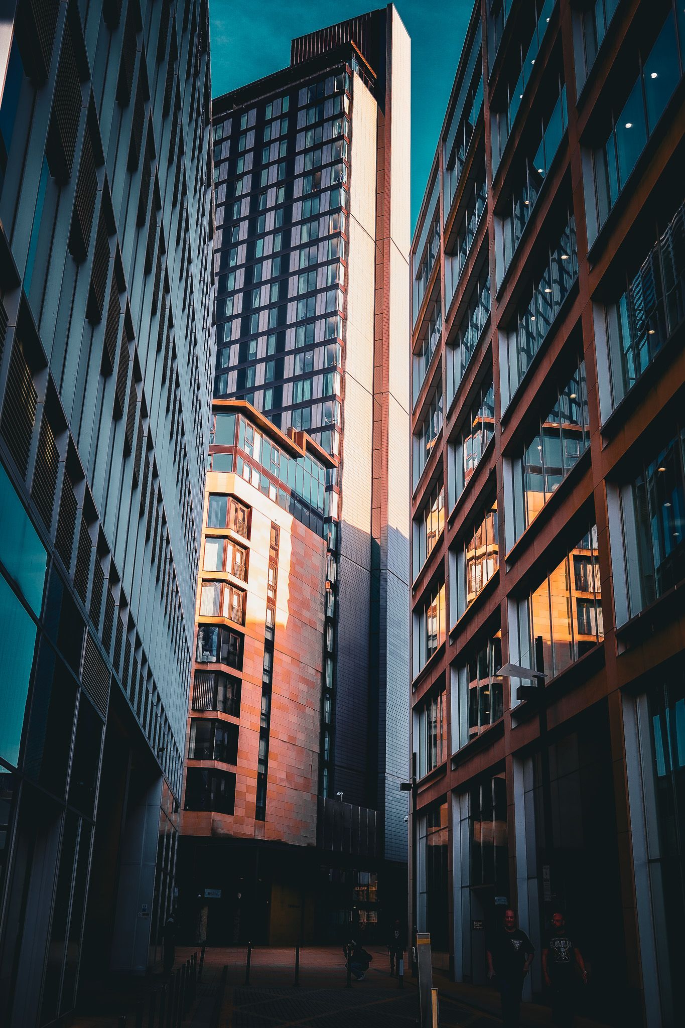 Tall modern buildings with reflections and red-brick detailing in late afternoon light. Sheffield millennium square