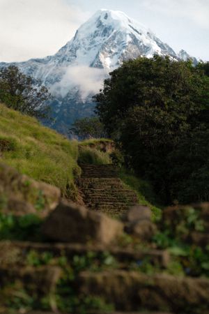 Snow-covered mountain peak rising above stone terraces and green vegetation.