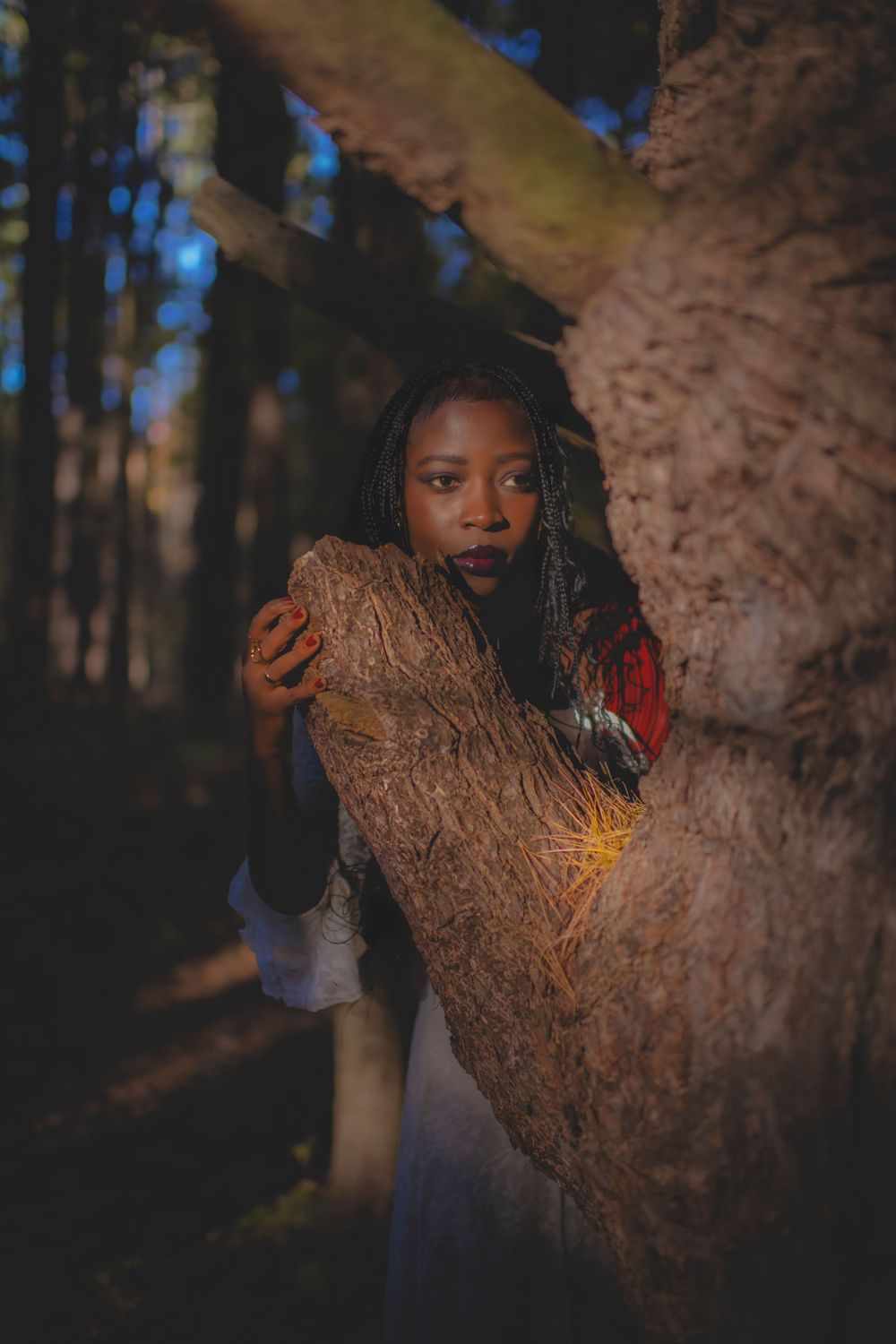 Atmospheric forest portrait with figure in white dress embracing large tree trunk.