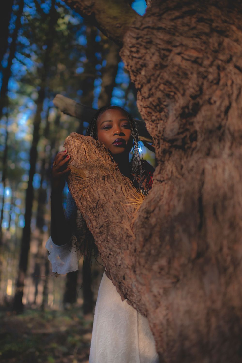 Whimsical forest scene showing figure peeking from behind massive tree trunk.
