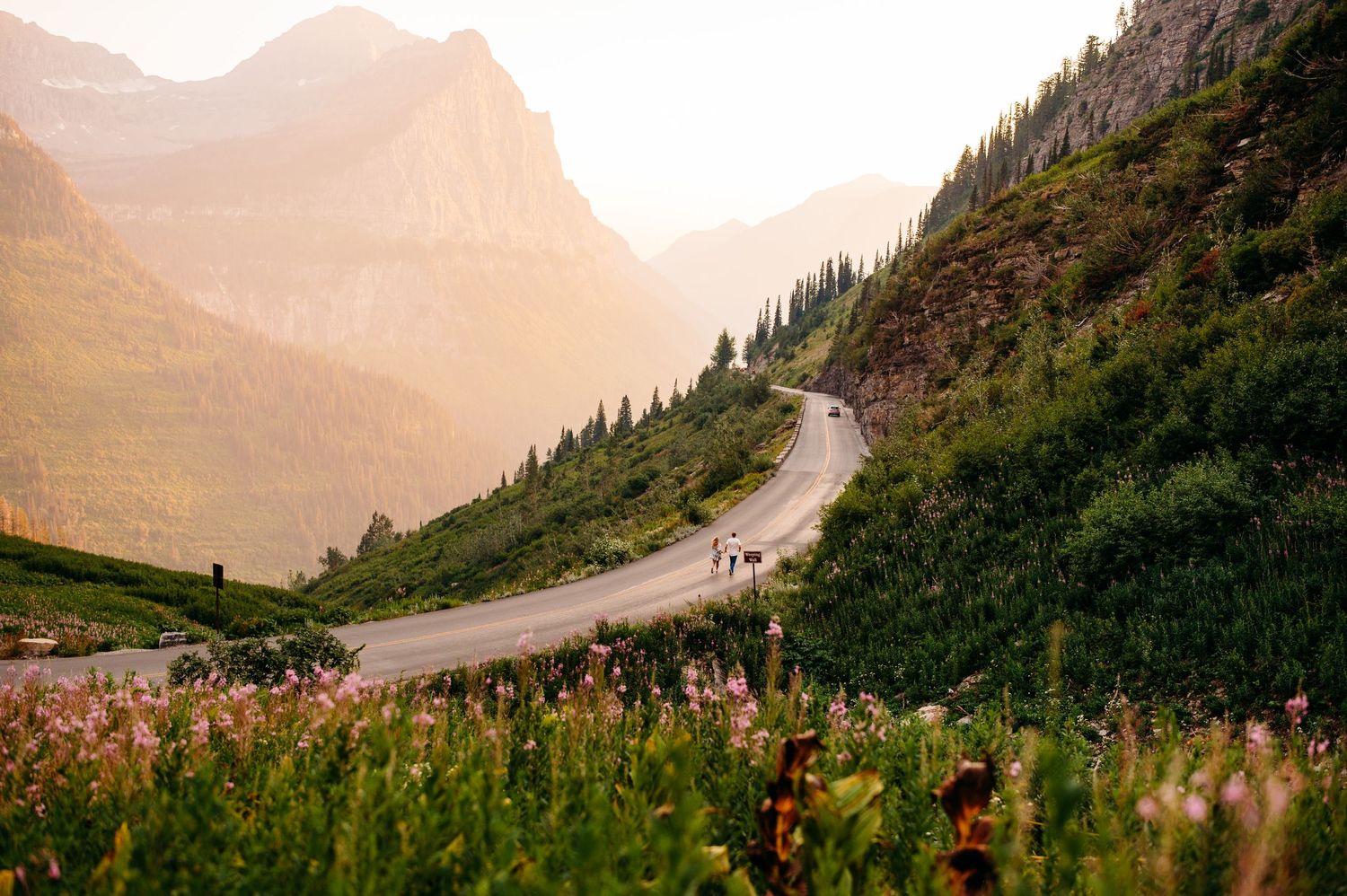 Winding mountain road through alpine meadow at sunset with distant peaks.