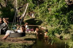 Tire swing hanging over a tranquil stream surrounded by lush green foliage.