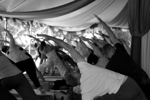 Large group of students stretching and bending in unison under a white tent during a yoga class.