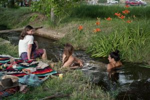 Group relaxing by a peaceful stream on a summer day with orange flowers blooming nearby.