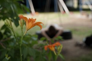 Small group gathering under trees viewed through flowering plants.