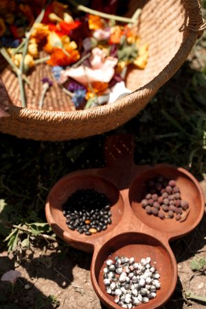Close-up view of clay pots containing different seeds and a woven basket with colorful flowers.