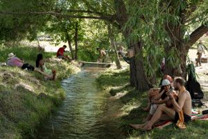 People relaxing along a peaceful stream bank under shady willow trees.