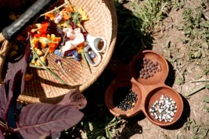 Overhead shot of terracotta seed containers and a woven basket filled with flowers.