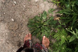 Bare feet on dirt ground next to green garden plants and herbs.
