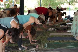 A group of people practice yoga poses in an outdoor covered space.