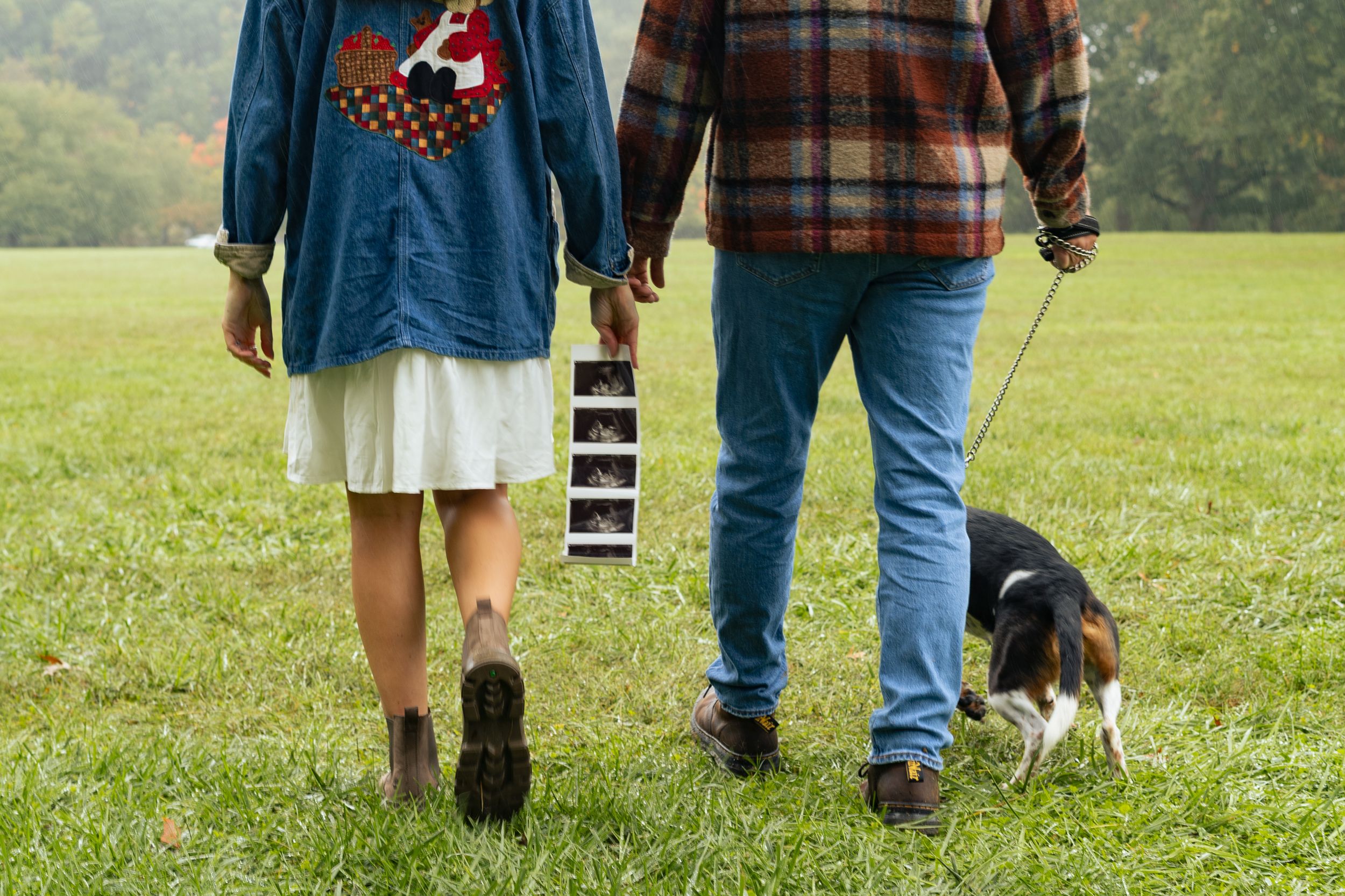 Couple walking a beagle dog in a green field, holding ultrasound photos, pregnancy announcement outdoors.