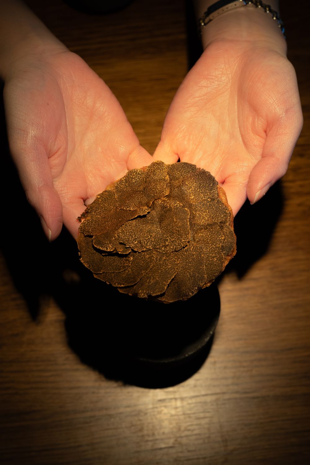 Hands hold a round brown truffle or mushroom against a dark wooden surface with dramatic lighting.