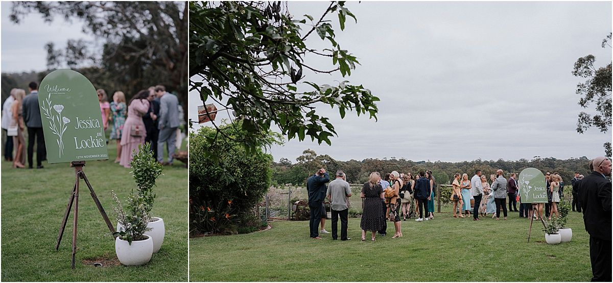 Wedding guests gathering on a grassy lawn for an outdoor celebration.