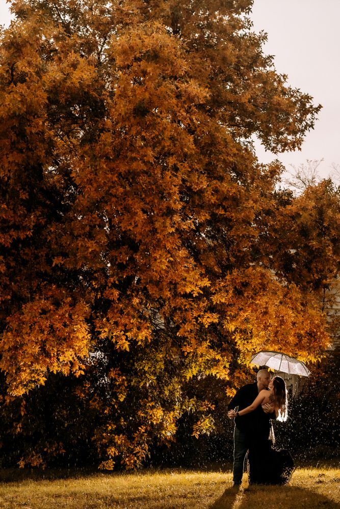 A couple sits back-to-back on a blanket having coffee during a warm autumn afternoon in nature.