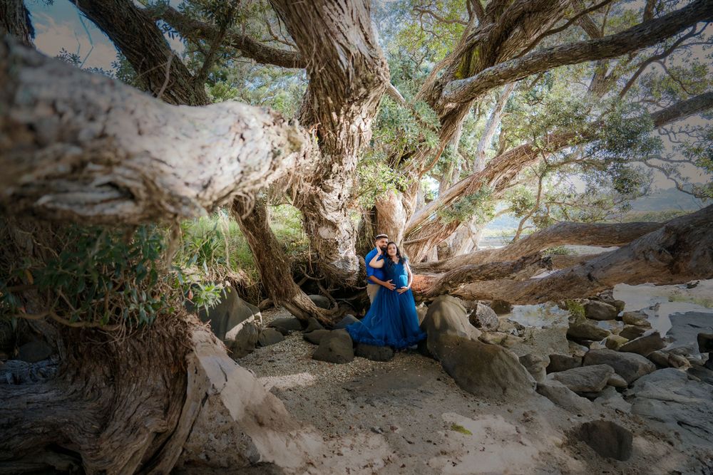 Rock climber in a blue shirt tackles a challenging boulder problem among twisted tree roots and rock formations.