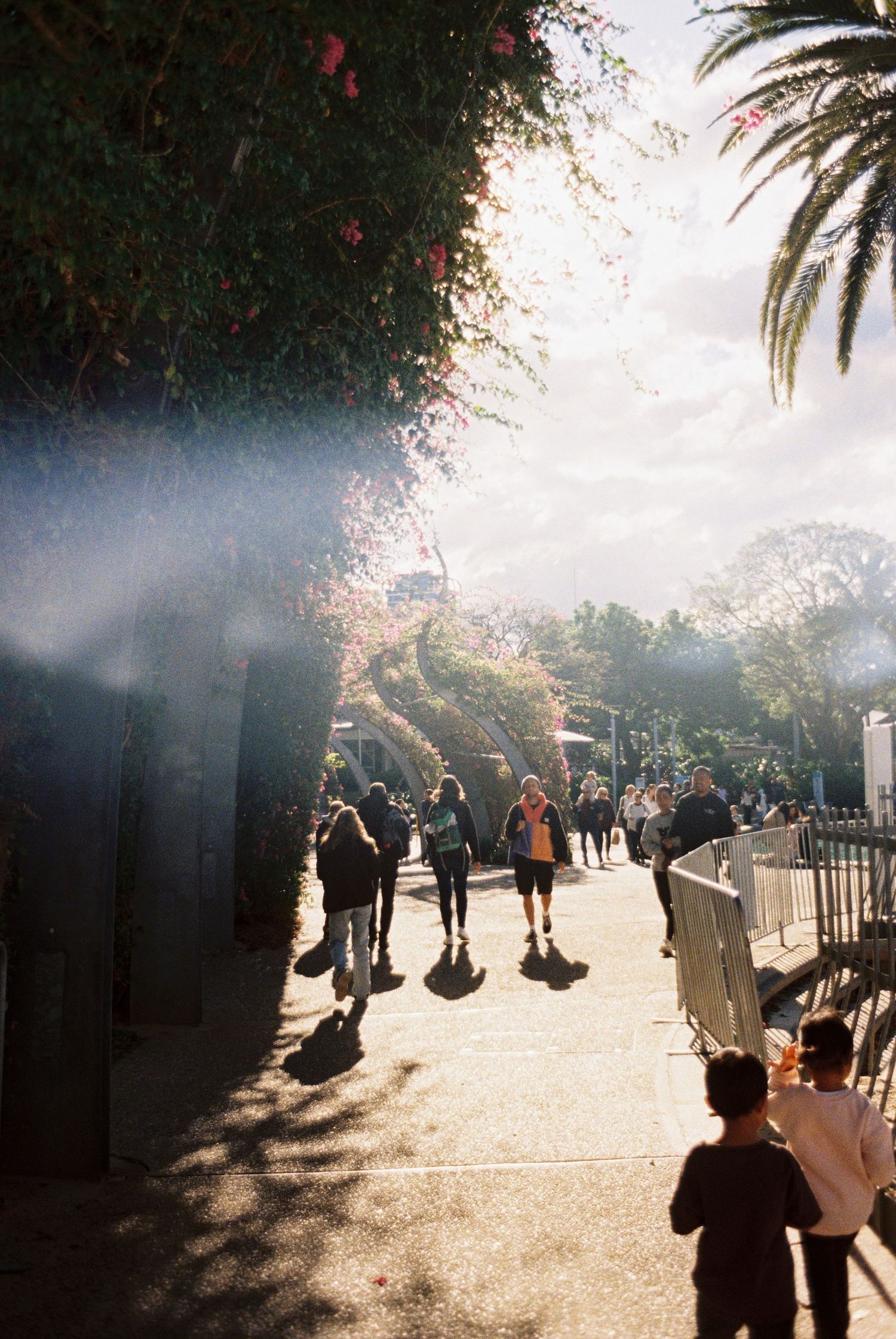 Crowds of visitors walking along a sunny path with palm trees and dappled shadows at a popular tourist destination.