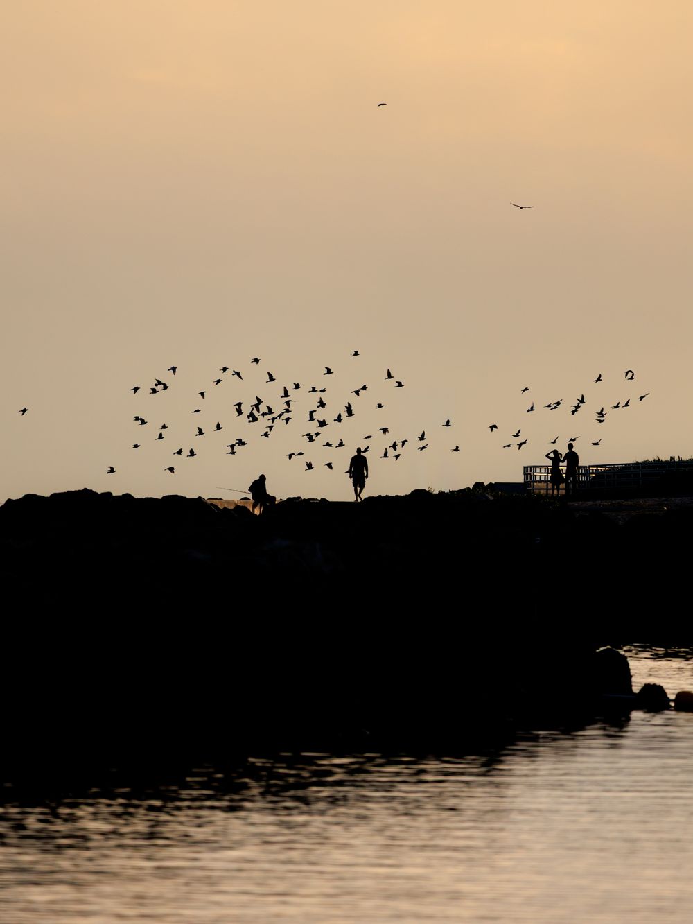 Silhouette of birds taking flight over waterfront at sunset creating dramatic scene.