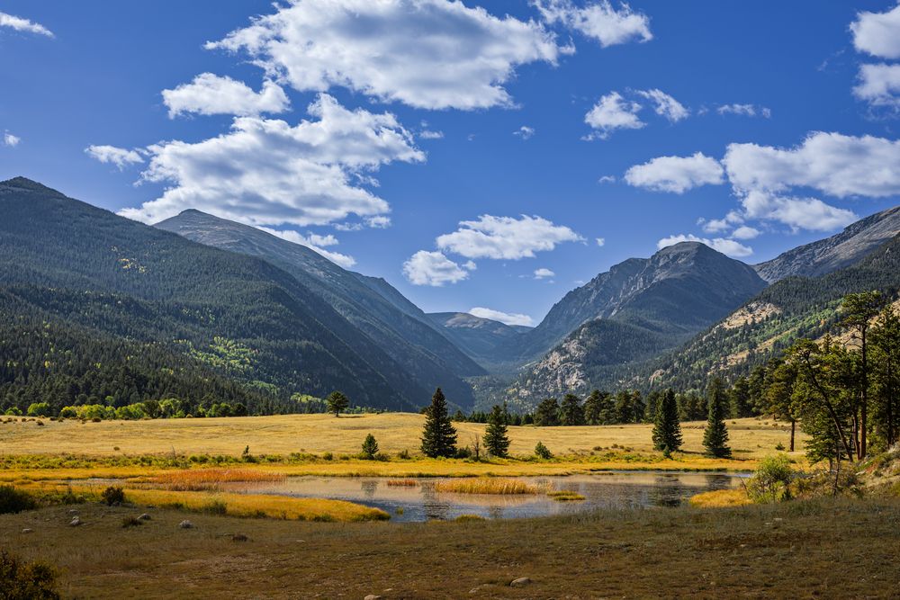 Panoramic mountain landscape with golden meadows and blue skies in Rocky Mountain National Park.