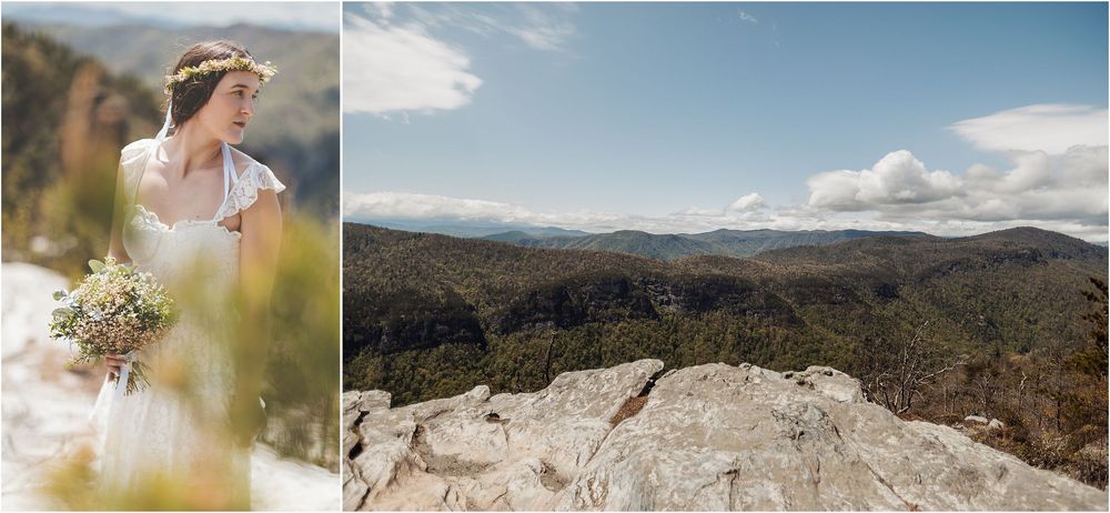 Split image of mountain wildflowers and a rocky overlook with rolling mountains in the distance.