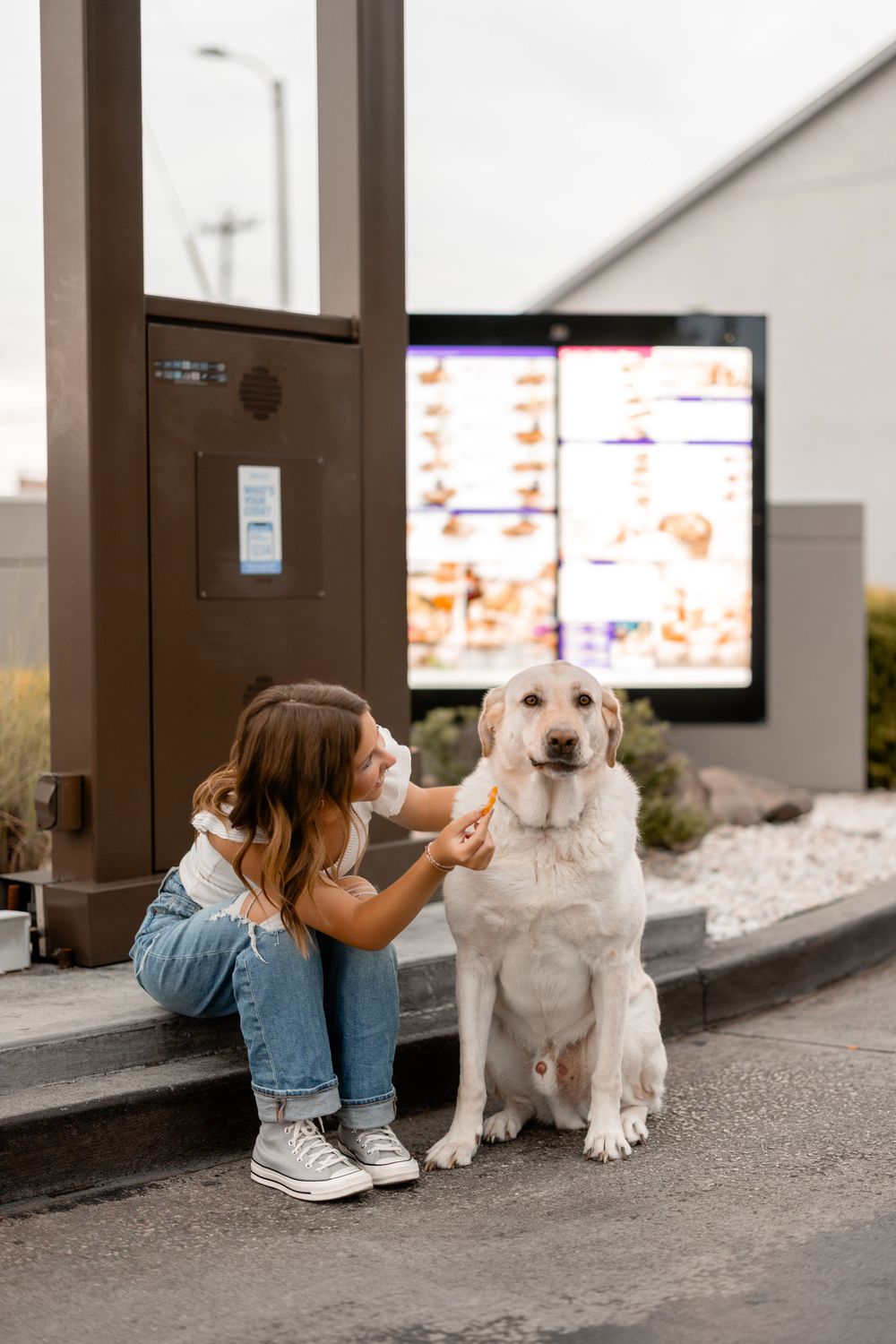 At a drive-through restaurant, someone sits with their golden retriever dog while waiting for food at night.