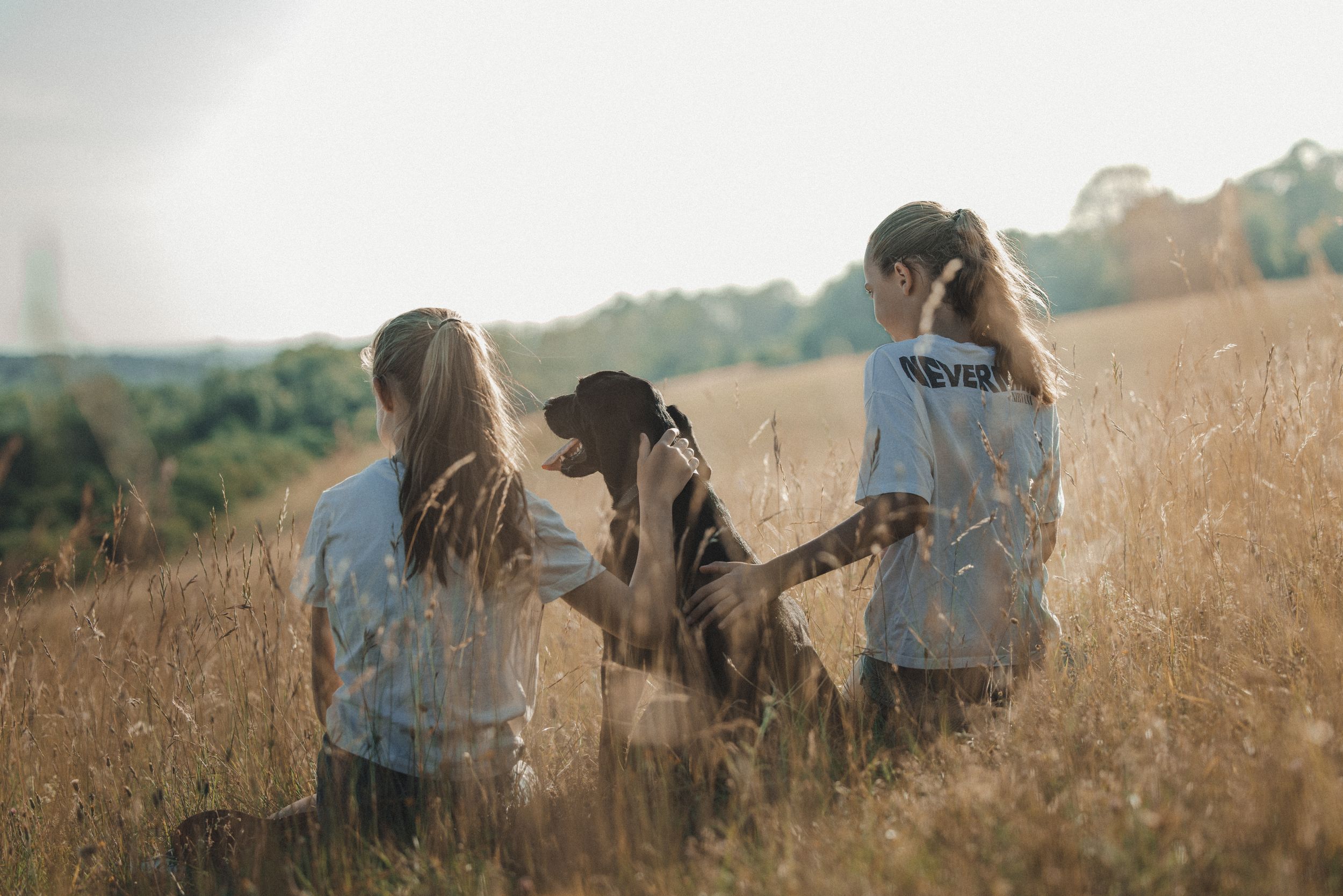 Three people and a dog enjoying a sunny day in tall grass field.