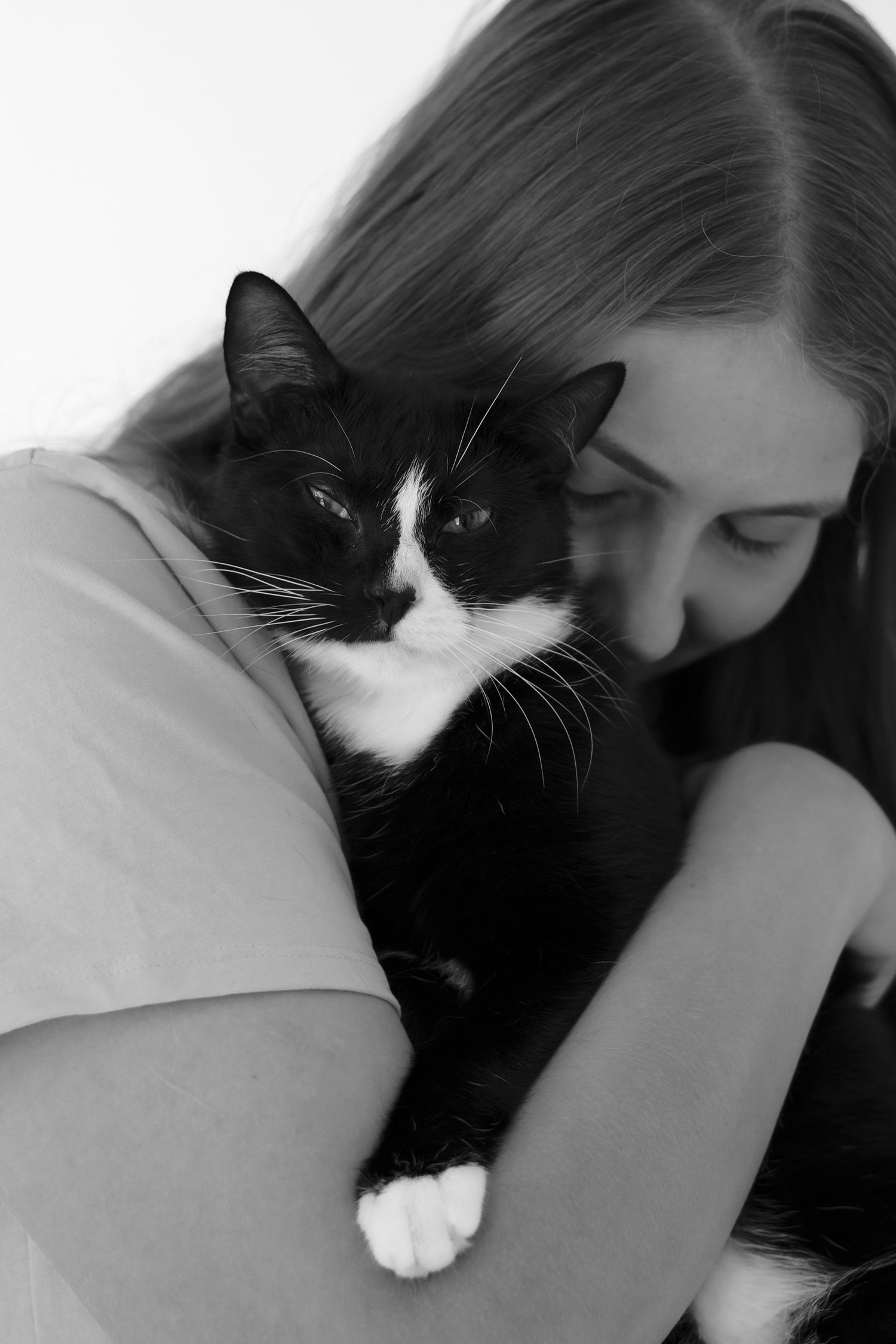 End of Life Cat Photoshoot