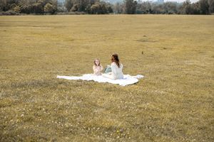 A collection of panoramic images showing a white dress displayed in a golden grassy field on a sunny day.