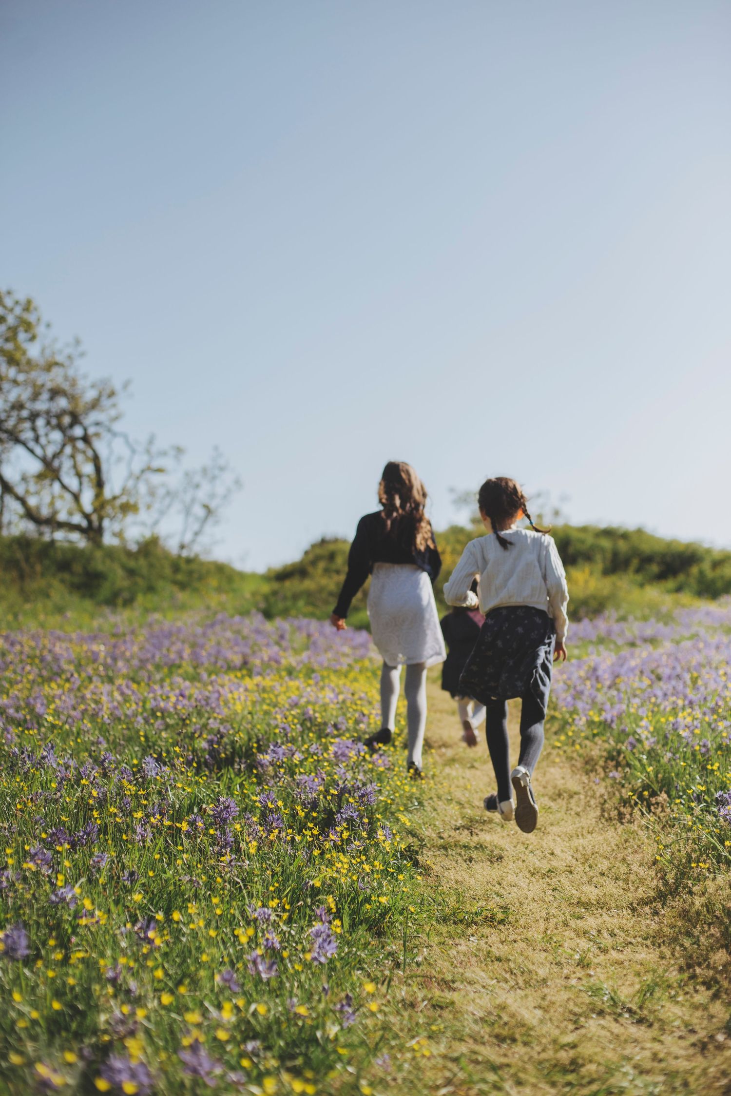 Three young girls running down a path surrounded by vibrant wildflowers under a clear blue sky.