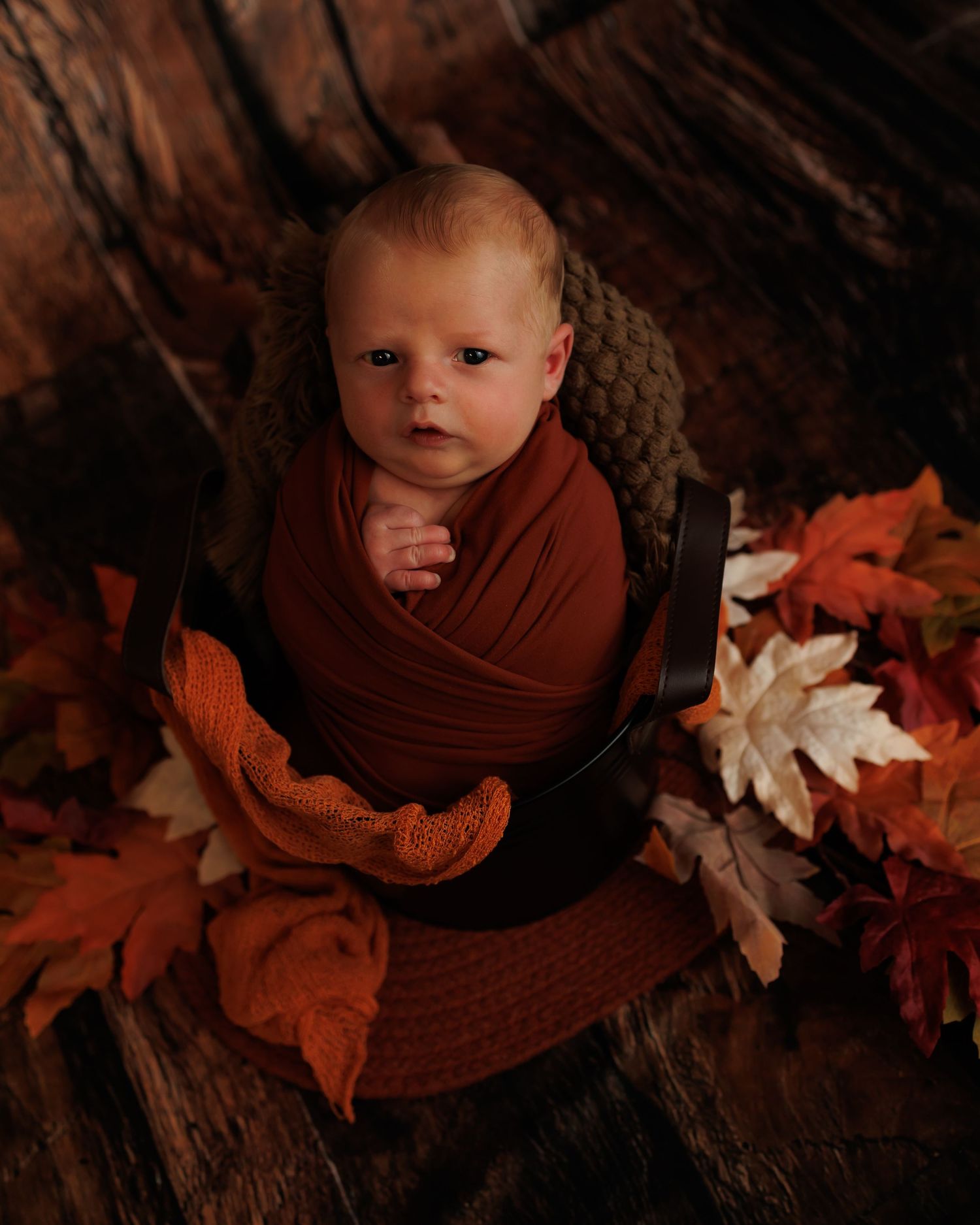 Autumn-themed newborn photography featuring brown swaddle and rustic fall leaves against dark wooden backdrop.