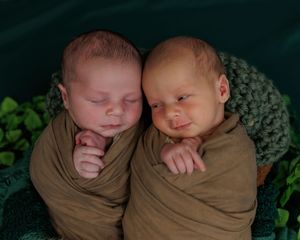 Two swaddled newborn babies sleeping side by side surrounded by greenery.