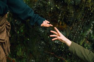 A person's hand reaching out to pick a small red berry from a green bush in nature.