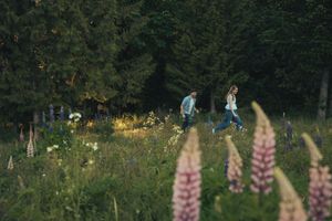 Two people walking through a wildflower meadow with lupines in foreground and dense green forest backdrop.