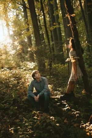 Atmospheric forest scene with sunlight filtering through trees and autumn leaves creating a dreamy woodland setting.