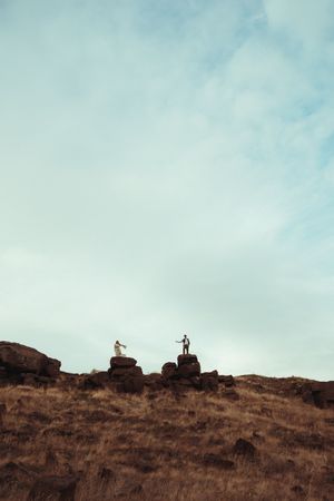 A herd of elk silhouetted against a cloudy sky stand atop a brown grassy hillside at dusk.