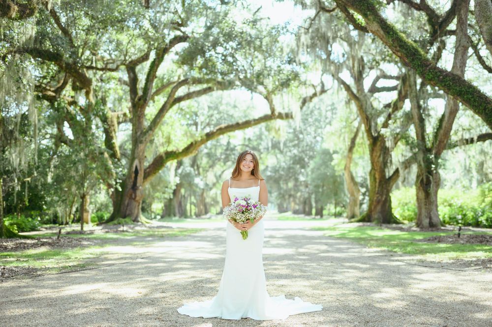 A picturesque tree-lined path in a southern garden creates a natural tunnel with sunlight filtering through oak branches.