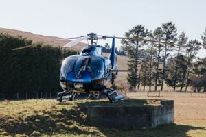 Kaikoura whale watch helicopter in rotherham pig hunt