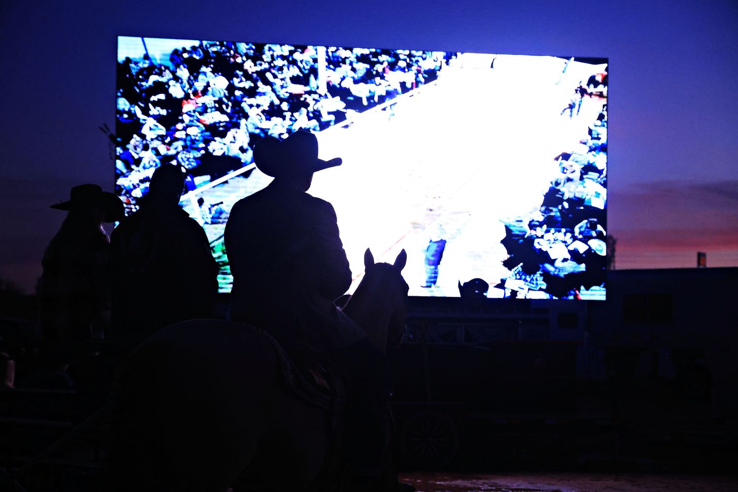 Rancho Rio Horse Sale Image