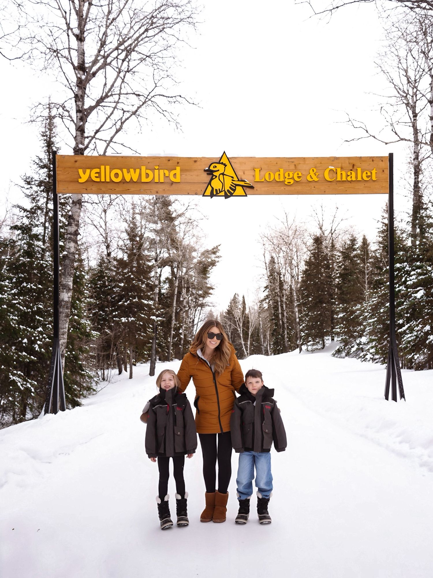 Snow-covered winter landscape with trees and a lodge sign.