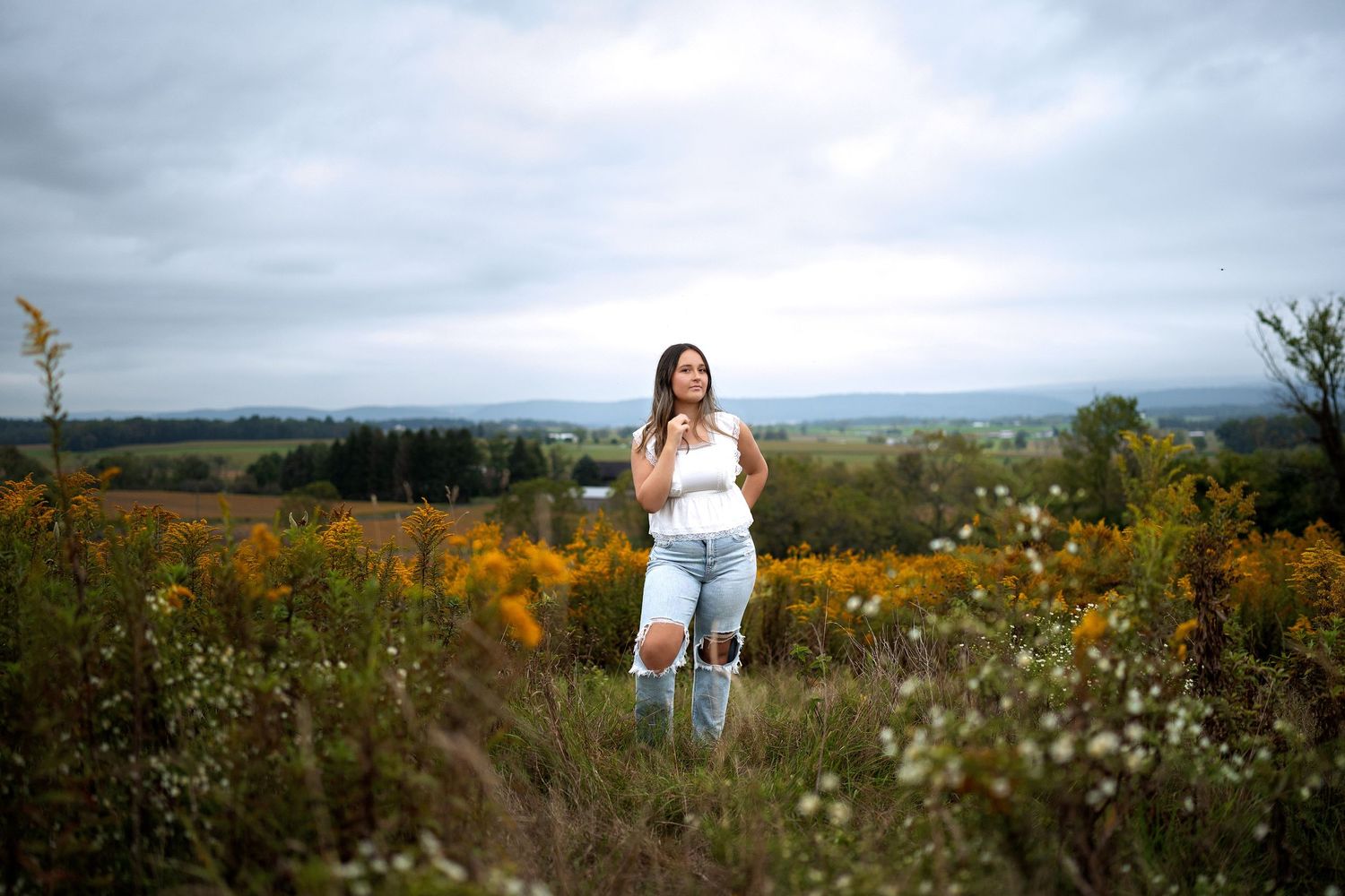 A scenic hilltop meadow with wildflowers and tall grass stretches into the distance under a moody cloudy sky.