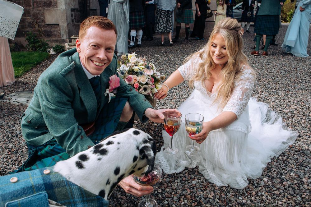 A couple in wedding attire sits on gravel with their Dalmatian dog while holding champagne glasses in celebration.