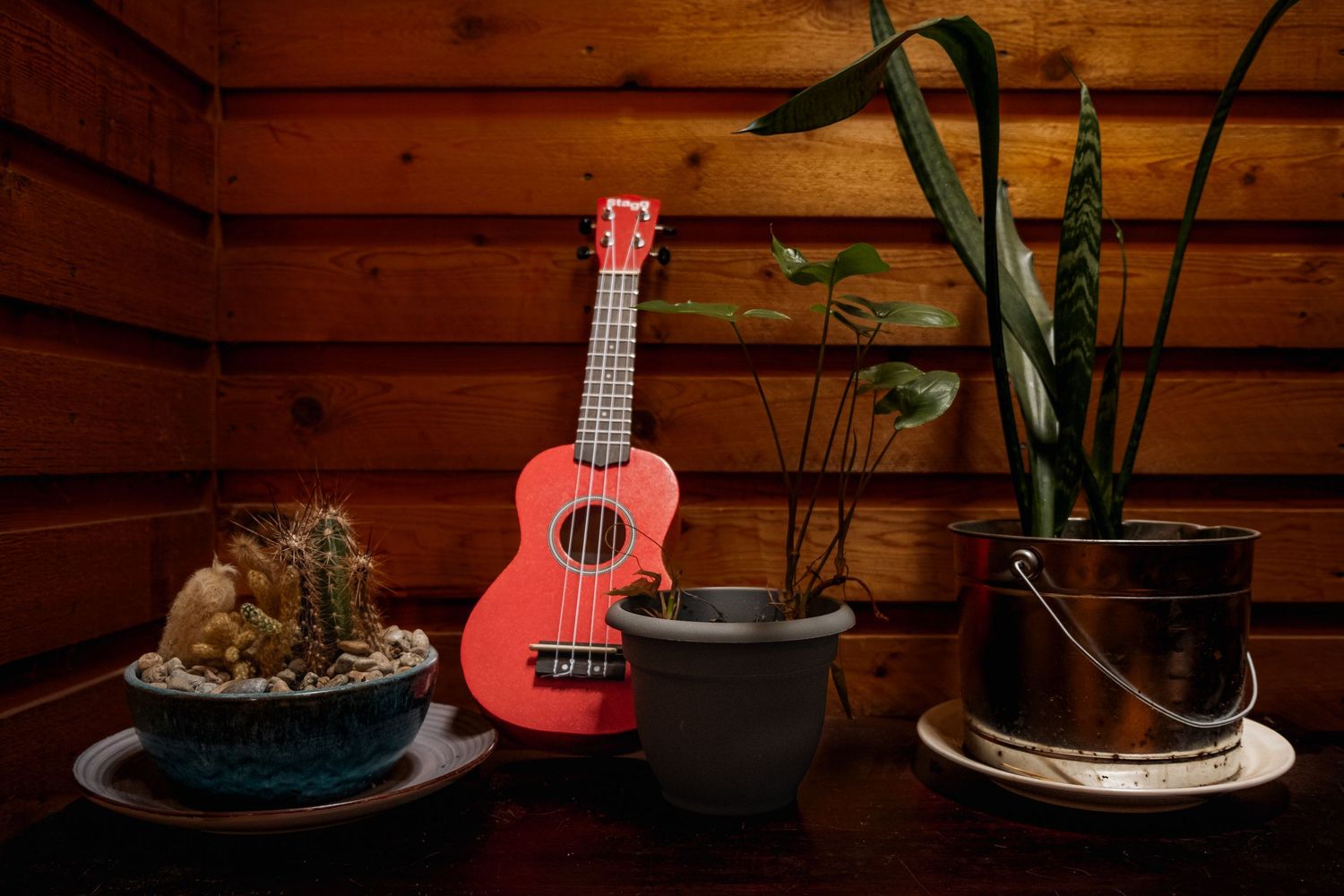 A red ukulele rests against a wooden wall alongside houseplants and decorative items.
