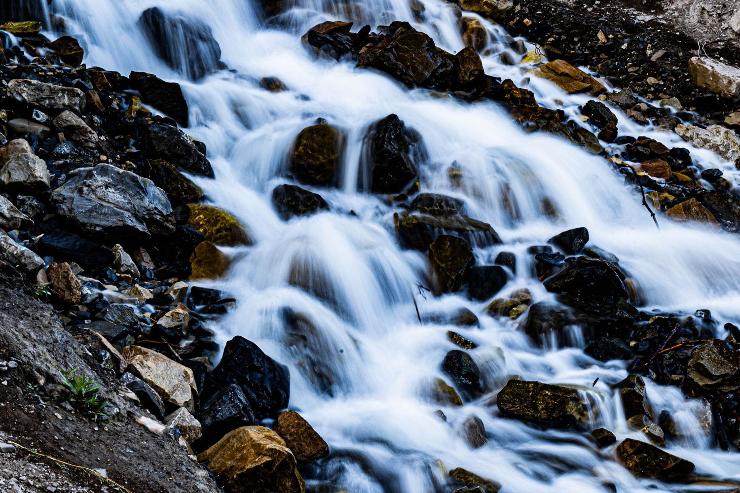 Nature Photo