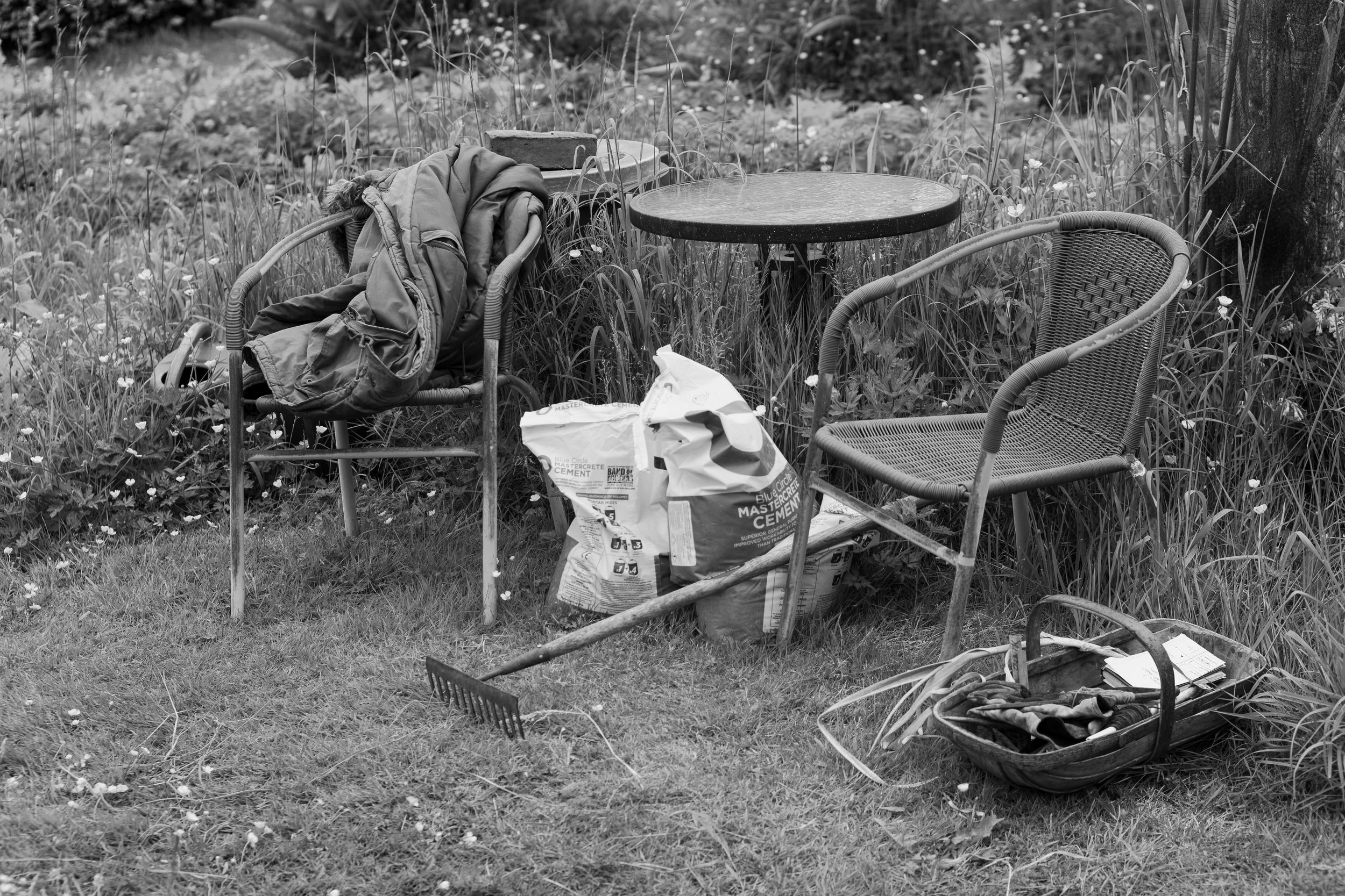 A beautiful series of fine art photographs of a year at an allotment site. Made at the end of Covid, these pictures show man vs nature.