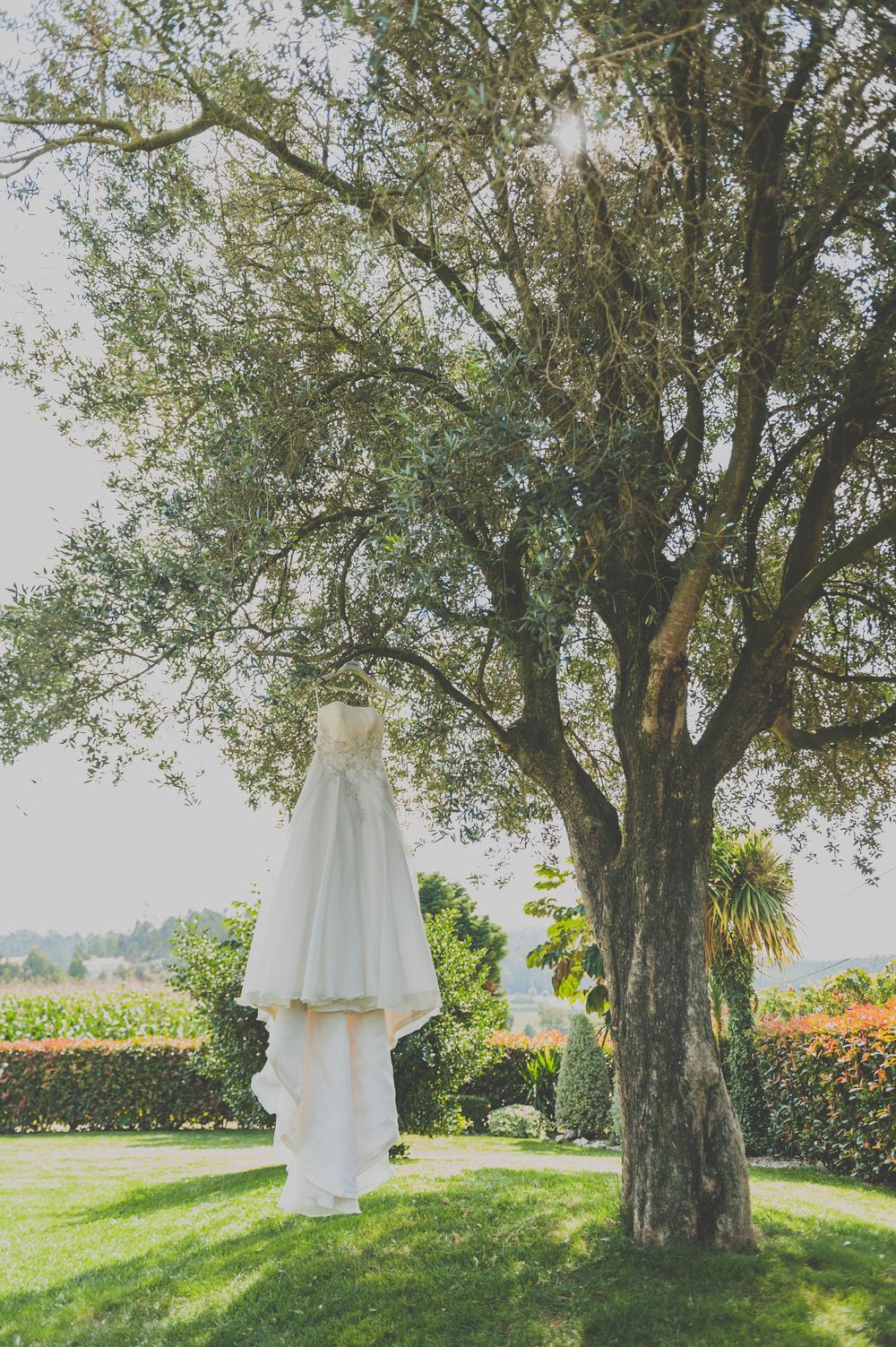 Fotografia de Casamento