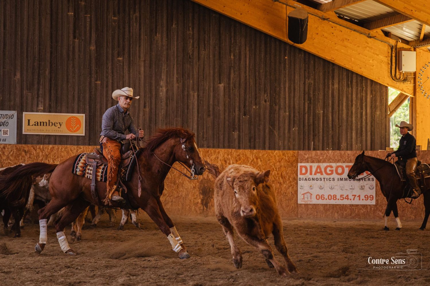 Concours western