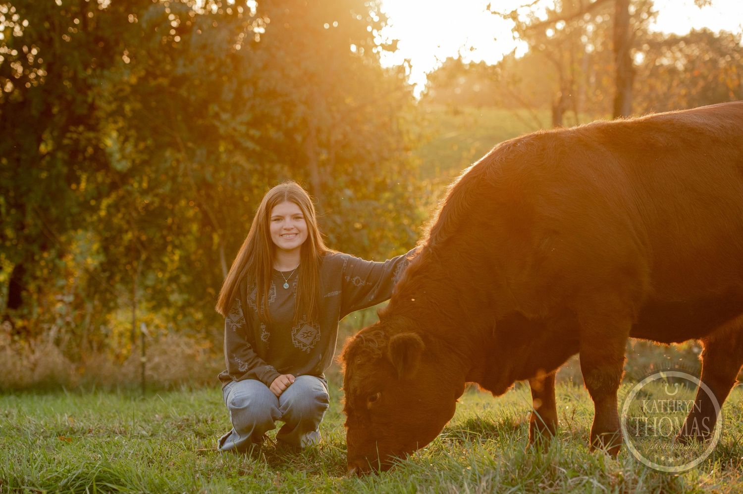 A brown cow grazes while someone kneels nearby during golden sunset.